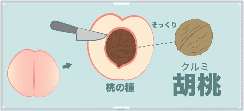 桃の種にそっくりなことから胡桃