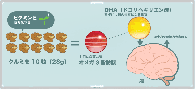 胡桃にあるオメガ3脂肪酸にはDHA（ドコサヘキサエン酸）が含まれていて、脳の直接的な栄養になる