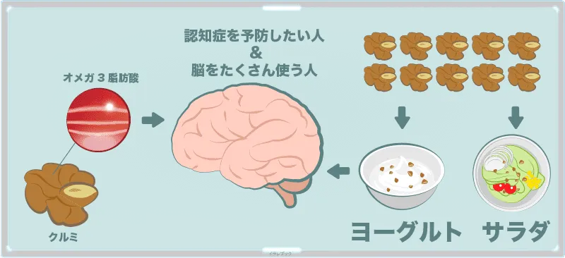 オメガ3脂肪酸がダントツ多く含まれているクルミなので、アルツハイマー型認知症を予防したい人はもちろん、日々脳を酷使するような仕事をする日には絶対的におすすめ