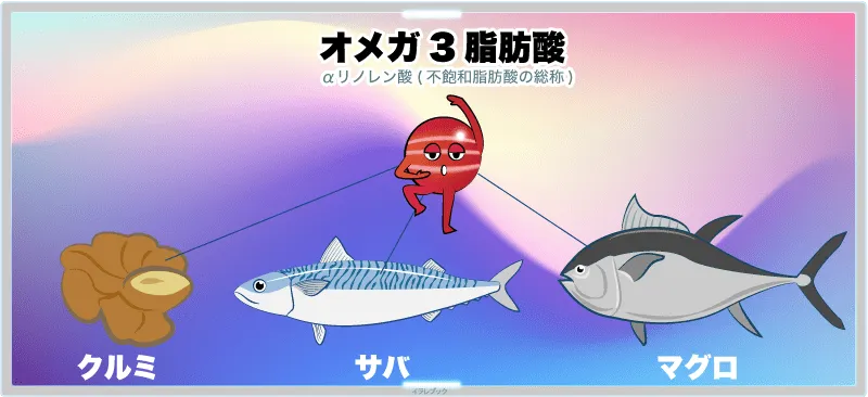 クルミのオメガ3脂肪酸は鯖や鮪にも含まれる
