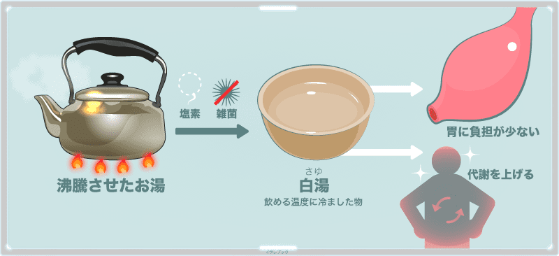 白湯の効果と作り方 ダイエットに良い レンジで作れる そもそも白湯とは お湯との違いをイラスト分析 Whitehotwater