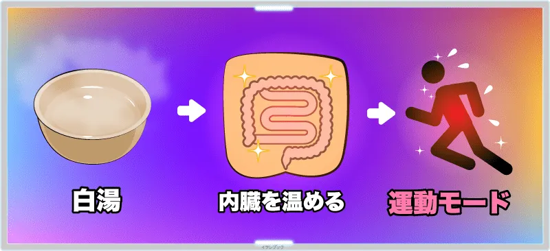 白湯で内臓を温めることによって、体が運動モードに