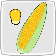 とうもろこしのデンプン