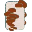 きくらげ栽培