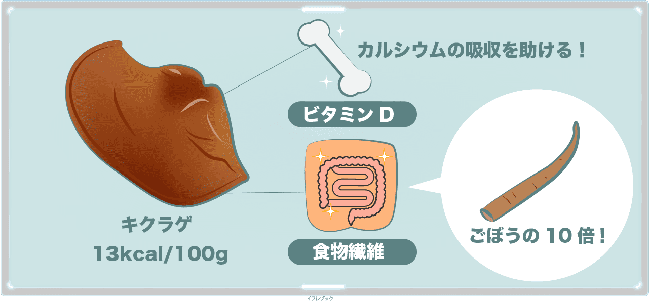 キクラゲ 実は栄養満点 食べる時は洗う 右肩上がりに成長中な注目きのこ Woodear