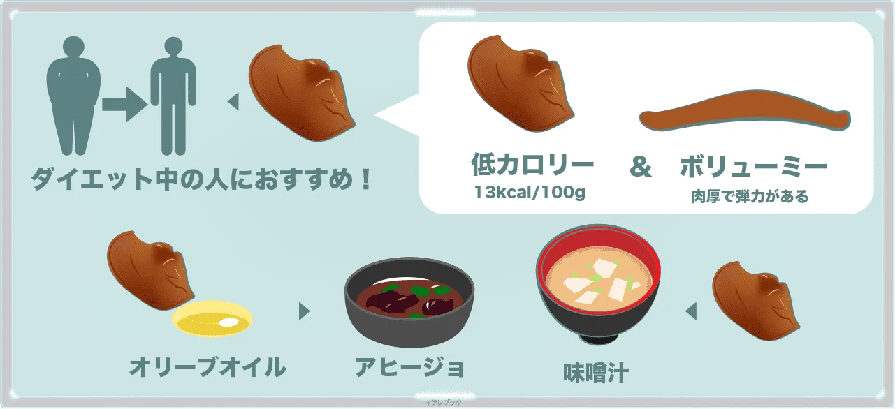 きくらげは低カロリーで歯ごたえがあるからダイエット中の人におすすめ