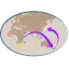 ヤーコンの世界史の絵文字