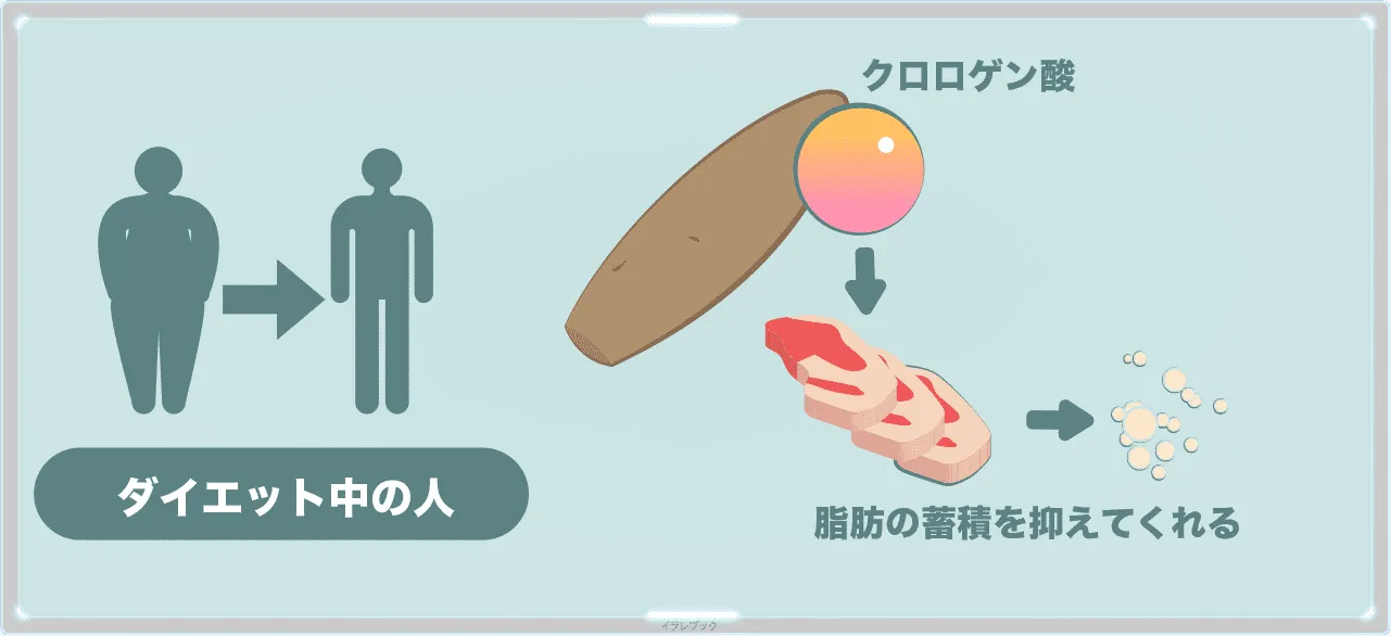 ヤーコンはダイエット中の人におすすめ
