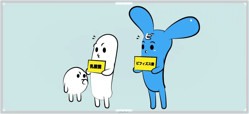 ビフィズス菌